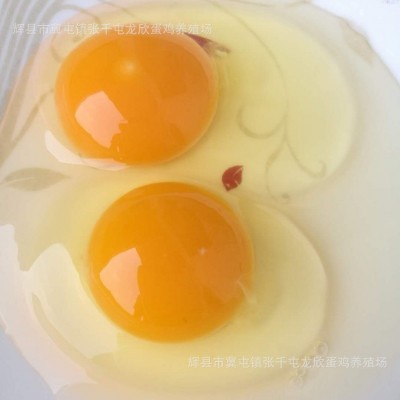 土鸡蛋批发养殖场黑凤鸡蛋批发物流发货小号粉蛋图4