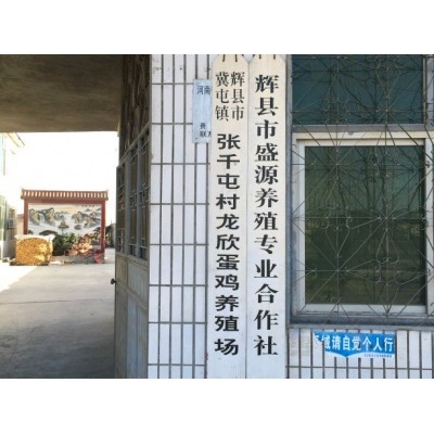 农三粉蛋土鸡蛋养殖场批发草鸡蛋一手货源虫草蛋图4