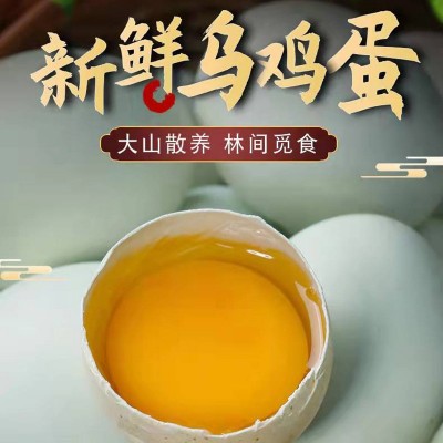 打码绿壳乌鸡蛋批发农家林间散养虫草五谷鸡蛋 产地直发免费喷码图2