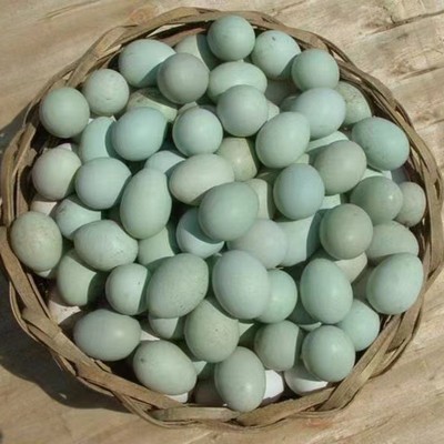 打码绿壳乌鸡蛋批发农家林间散养虫草五谷鸡蛋 产地直发免费喷码图3