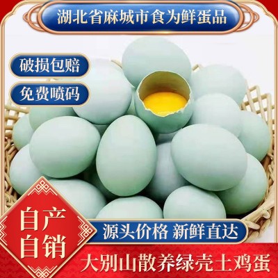 打码绿壳乌鸡蛋批发农家林间散养虫草五谷鸡蛋 产地直发免费喷码图1