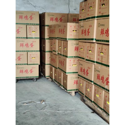 打码绿壳乌鸡蛋批发农家林间散养虫草五谷鸡蛋 产地直发免费喷码图5