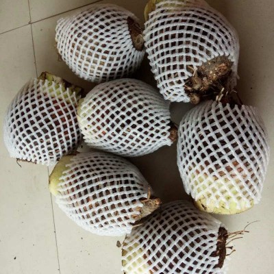 芋头荔浦 直发新鲜现挖广西特产5斤装荔浦芋头批发槟榔芋香芋图5