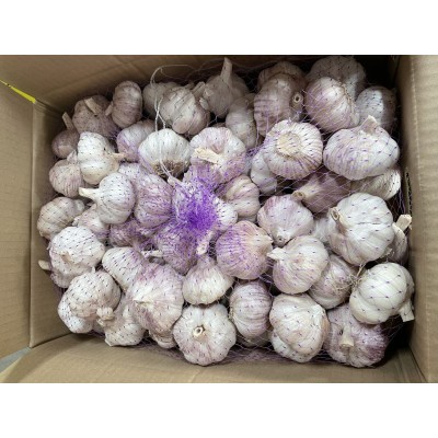 供应出口红蒜，出口普白蒜，出口新蒜，出口泰国大蒜，出口紫皮蒜图3
