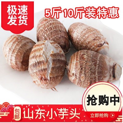 小芋头现挖新鲜山东毛芋头香芋农家自种奶芋3斤5斤装一件代发图1