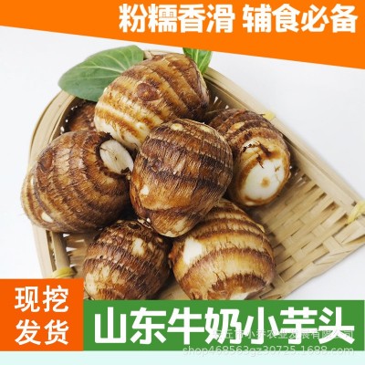 小芋头现挖新鲜山东毛芋头香芋农家自种奶芋3斤5斤装一件代发图4