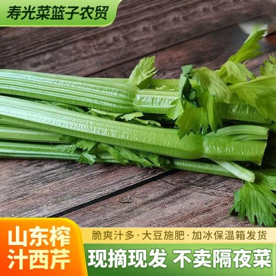 榨汁西芹新鲜大棵半叶西洋芹菜绿色蔬菜嫩心青菜香芹加冰现摘顺丰图1
