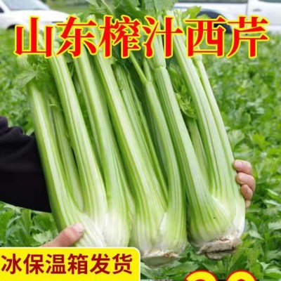 榨汁西芹新鲜大棵半叶西洋芹菜绿色蔬菜嫩心青菜香芹加冰现摘顺丰图2