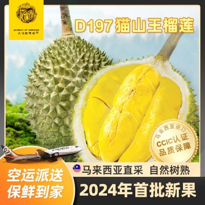 马来西亚D197猫山王榴莲整果 液氮冷冻果水果一件代发团购图3