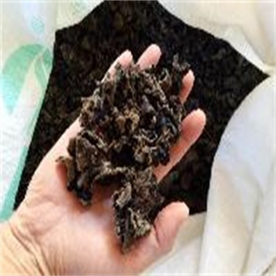 黑木耳一级图3