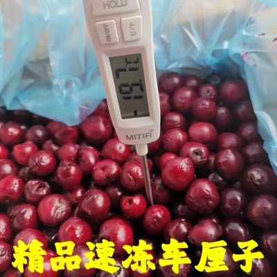 直销速冻车厘子无核车厘子果肉奶茶原料榨汁奶茶甜品烘焙原料批发图2