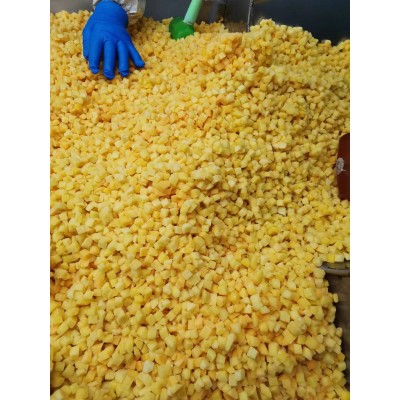 厂家直销 冷冻黄桃丁 10*10 新鲜黄桃果肉 八三黄金冠速冻黄桃丁图3