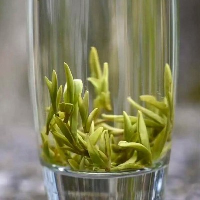【四十年基地】黄山毛峰散装茶叶批发明前雀舌毛尖兰花香高山绿茶图3