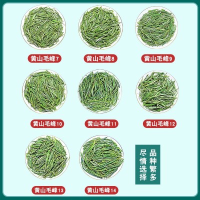 天然峰 黄山毛峰茶2024新茶安徽散装毛尖茶特级500g茶叶绿茶批发图1