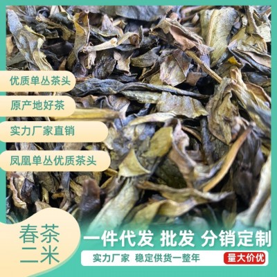 鸭屎香 鸭屎香粗叶 凤凰单丛 潮州 高品质单丛二米中叶图2