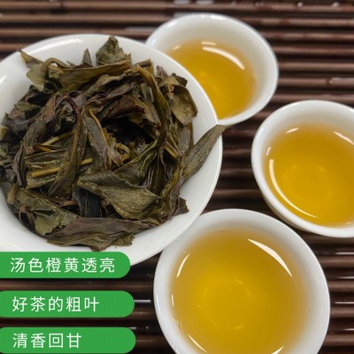 鸭屎香 鸭屎香粗叶 凤凰单丛 潮州 高品质单丛二米中叶图3