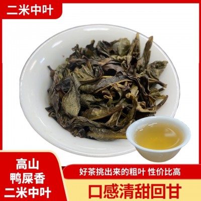 鸭屎香 鸭屎香粗叶 凤凰单丛 潮州 高品质单丛二米中叶图5