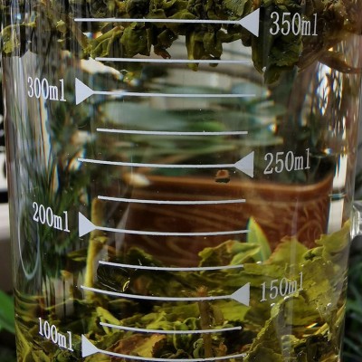新茶日式白桃乌龙茶蜜桃乌龙台湾乌龙茶高山冷泡茶奶茶店原料图3