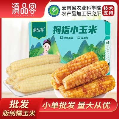 批发云南西双版纳香糯小玉米真空装新鲜即食花糯黏玉米棒早餐粗粮