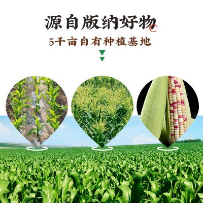 批发云南西双版纳香糯小玉米真空装新鲜即食花糯黏玉米棒早餐粗粮图2