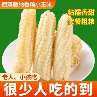 云南西双版纳拇指玉米新鲜甜香白糯迷你宝宝手指玉米早餐代餐图2