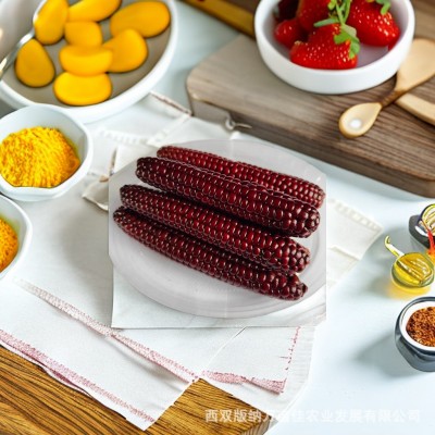云南西双版纳紫色拇指小玉米 软糯香甜厂家批发图3