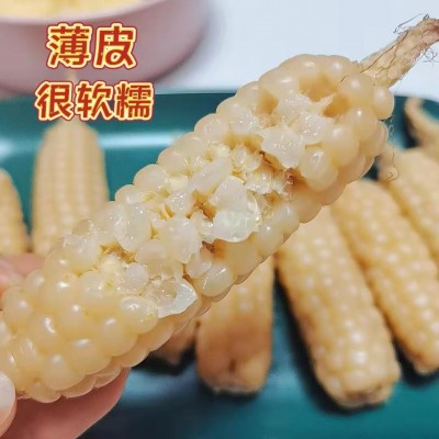 源头工厂直发云南西双版纳拇指小玉米真空锁鲜图3