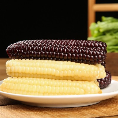 云南西双版纳拇指小玉米香甜软糯鲜真空包装白糯玉米即食代餐粗粮图4