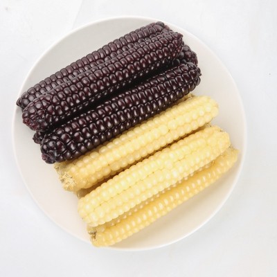 云南西双版纳拇指小玉米香甜软糯鲜真空包装白糯玉米即食代餐粗粮图5