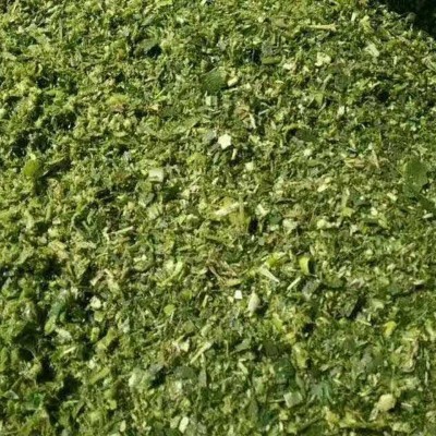 供应玉米秸秆饲料 全株 青储 牛马羊食用植物饲料 玉米秸秆制成图4
