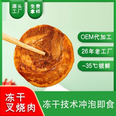 顶能源头工厂加工定制OEM冻干叉烧肉片 冷冻真空干燥肉制品图2