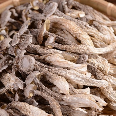 产地直销3A级干鹿茸菇500克云南特产食用菌不开伞鹿新鲜蘑菇批发图4
