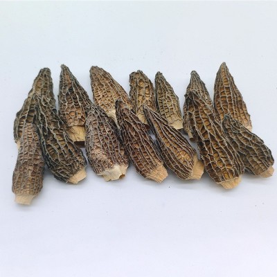 食用菌煲汤食材随州特产剪柄羊肚菌7-9CM菌菇干货散装袋装批发图2