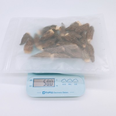 食用菌煲汤食材随州特产剪柄羊肚菌7-9CM菌菇干货散装袋装批发图4