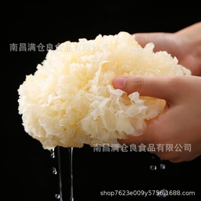 古田特产银耳白木耳 大花银耳食用菌干货银耳羹易煮出胶 厂家批发图3