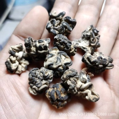 酒店猴脑菌500g核桃菇农产品干货 个大紧实玛卡菌玛瑙菌食用菌批图4
