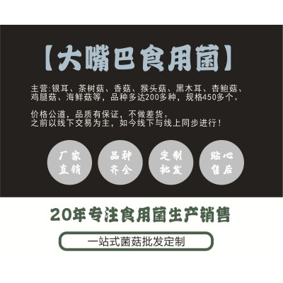 酒店猴脑菌500g核桃菇农产品干货 个大紧实玛卡菌玛瑙菌食用菌批图5