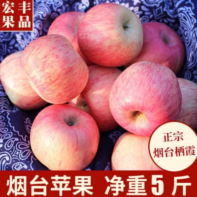 霜果滋品牌正宗烟台栖霞红富士苹果新鲜带皮吃山东脆甜包邮冰糖心图1