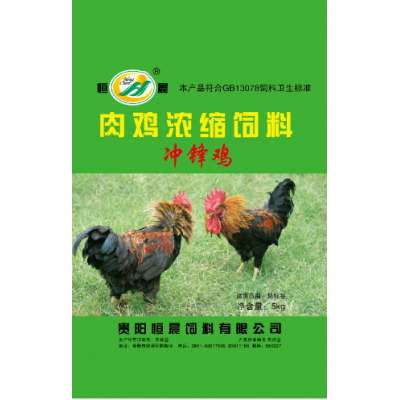 冲锋鸡图4