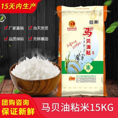 当季新米 韶关新鲜马贝油粘米15KG大米 食堂家庭装厂家直批30斤米图1