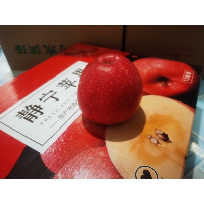 静宁精品红富士特大果礼盒装制作精品水果一件代发图3