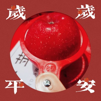 特大85以上静宁精品红富士特大果苹果水果批发一件代发图2