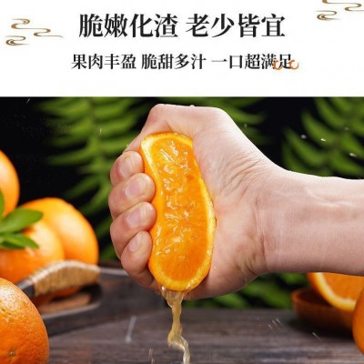 重庆忠县脐橙现摘现发中大果带箱9-10斤夏季甜橙忠橙新鲜批发图4