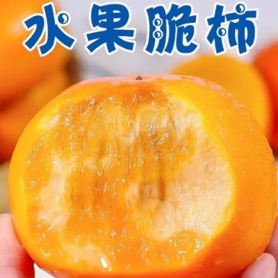 云南保山脆柿脆甜爽口肉厚饱满无籽应季新鲜水果柿子图3