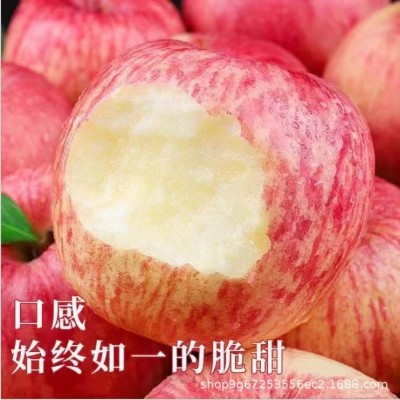 烟台红富士苹果5斤水果新鲜当季栖霞苹果冰糖心平安果整箱包邮图1