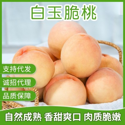果园直发一手货源白玉脆桃应季大毛桃图1