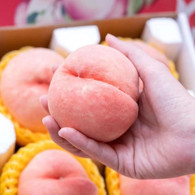 果园直发一手货源白玉脆桃应季大毛桃图4