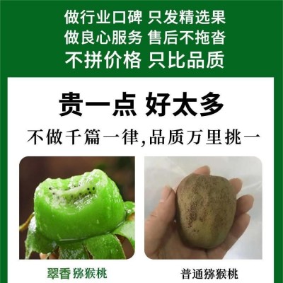 翠香猕猴桃手选中果绿心5斤水果新鲜整箱孕妇奇异果批发图2