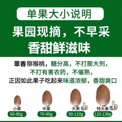 翠香猕猴桃果王精品绿心5斤水果新鲜整箱孕妇奇异果批发图4