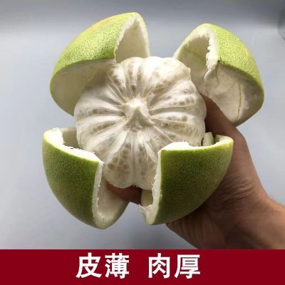 井冈蜜柚金兰柚安福蚕子青柚白柚皮薄肉厚清甜多汁柚子水果图2